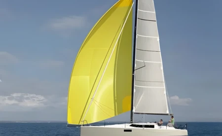 Pogo 36