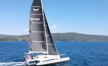 Dragonfly 28