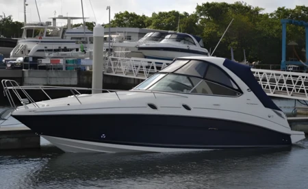 Sea Ray 305 Sundancer Hardtop