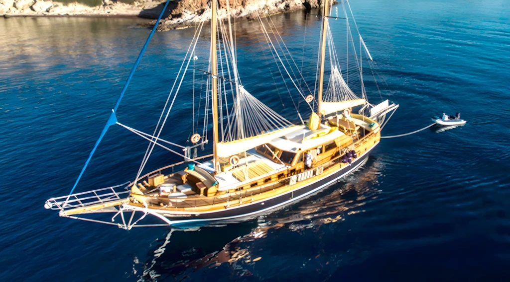 M/S Nikola