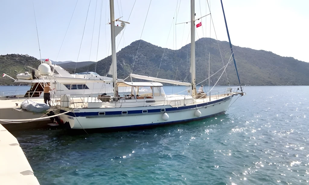 Irwin 65