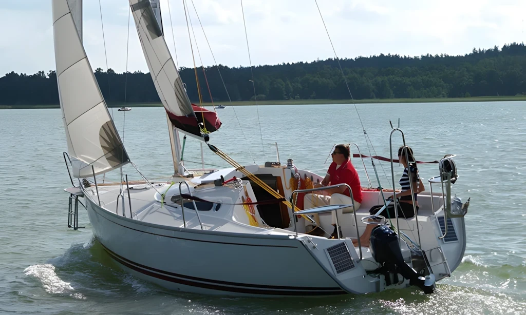 Delphia 26