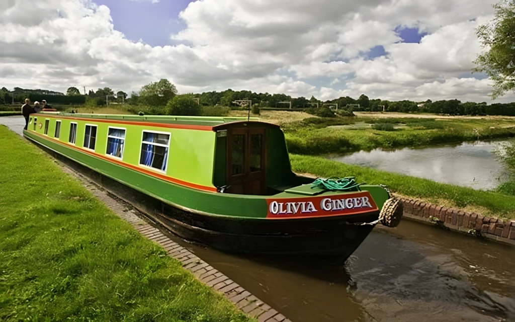 Olivia Ginger