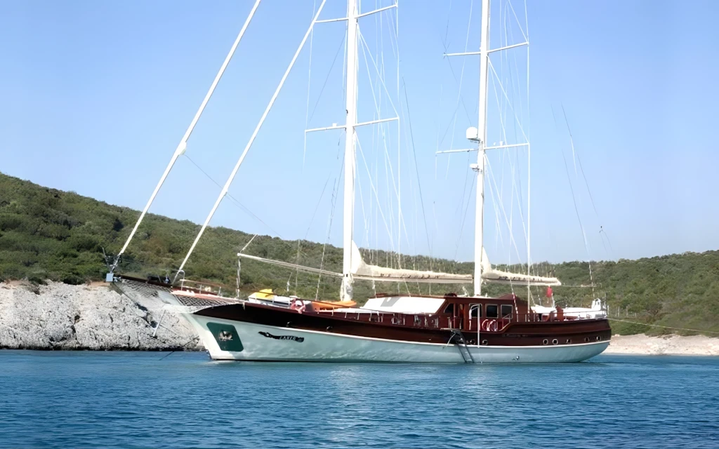Caner IV