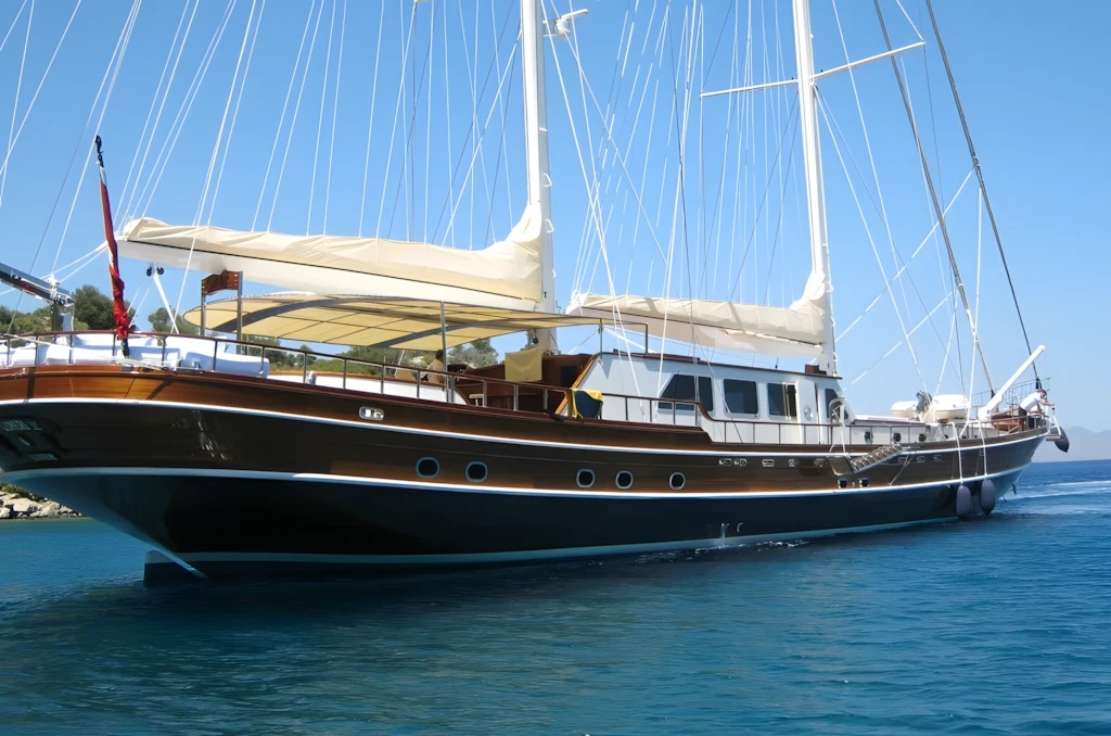 Kaya Guneri-V