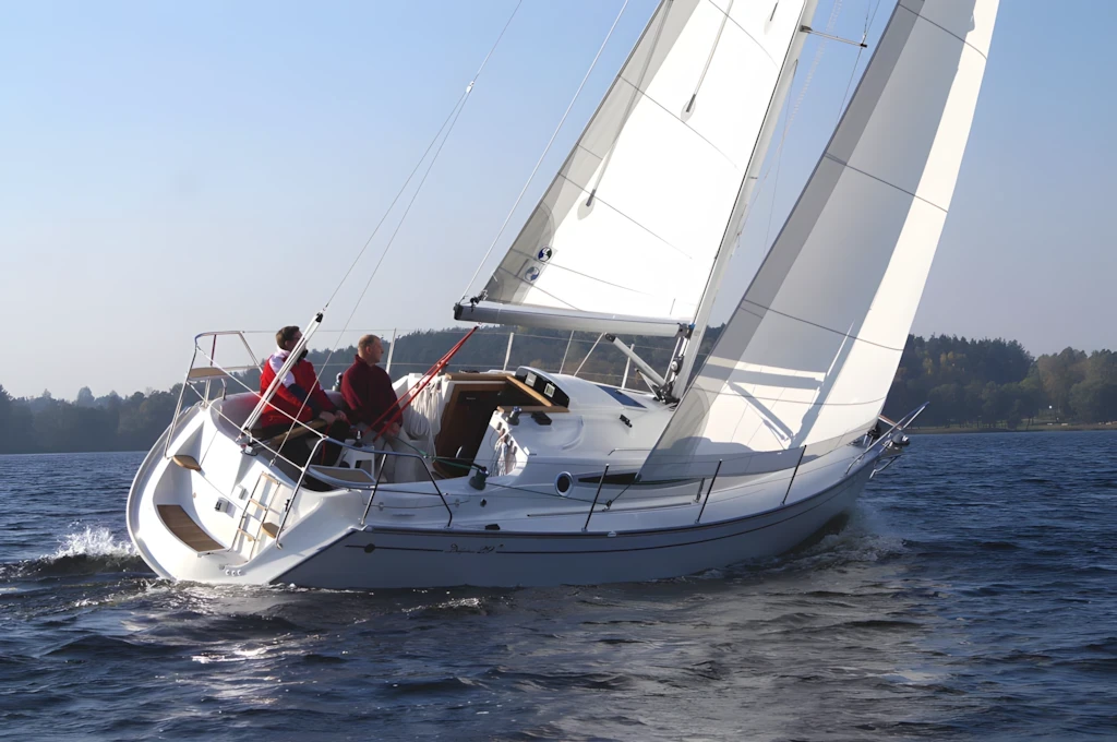 Delphia 29