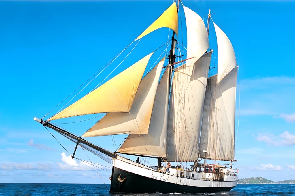 Sea Pearl