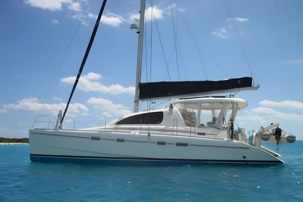 Leopard 43