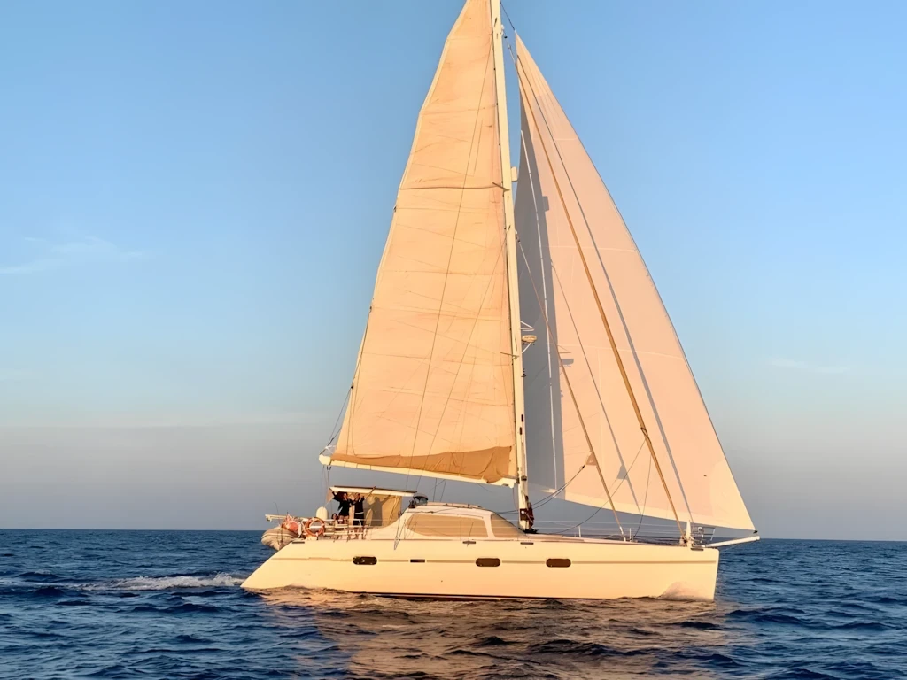 Privilege 585