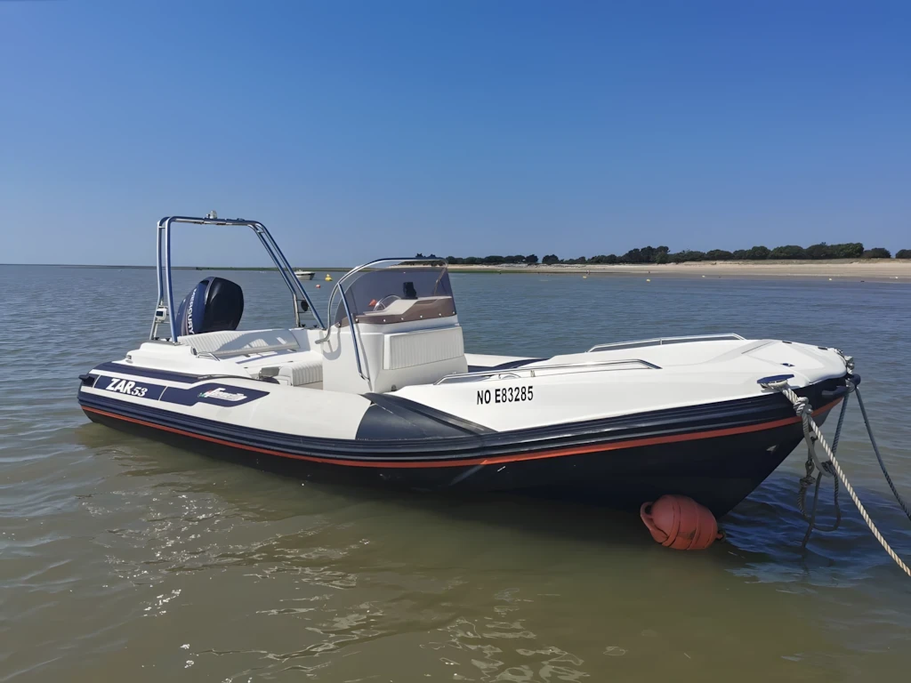 Zar 53