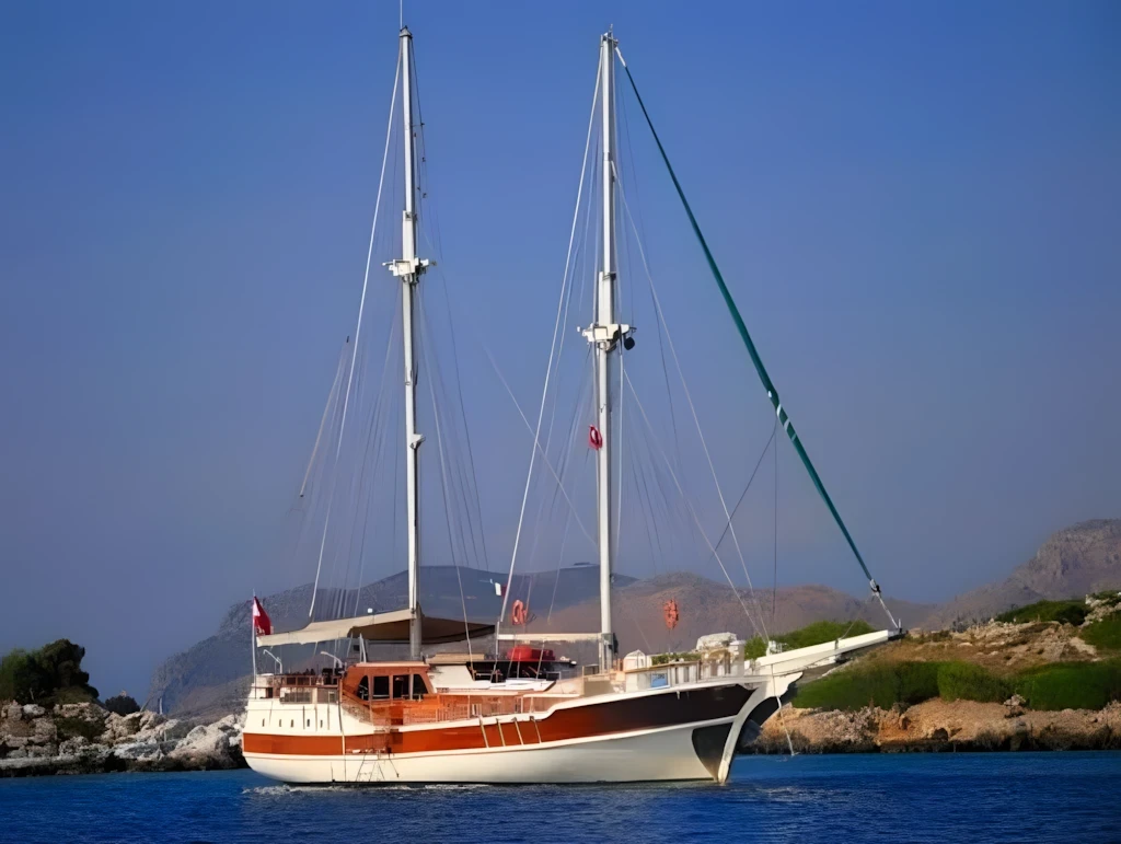 Delfin VI