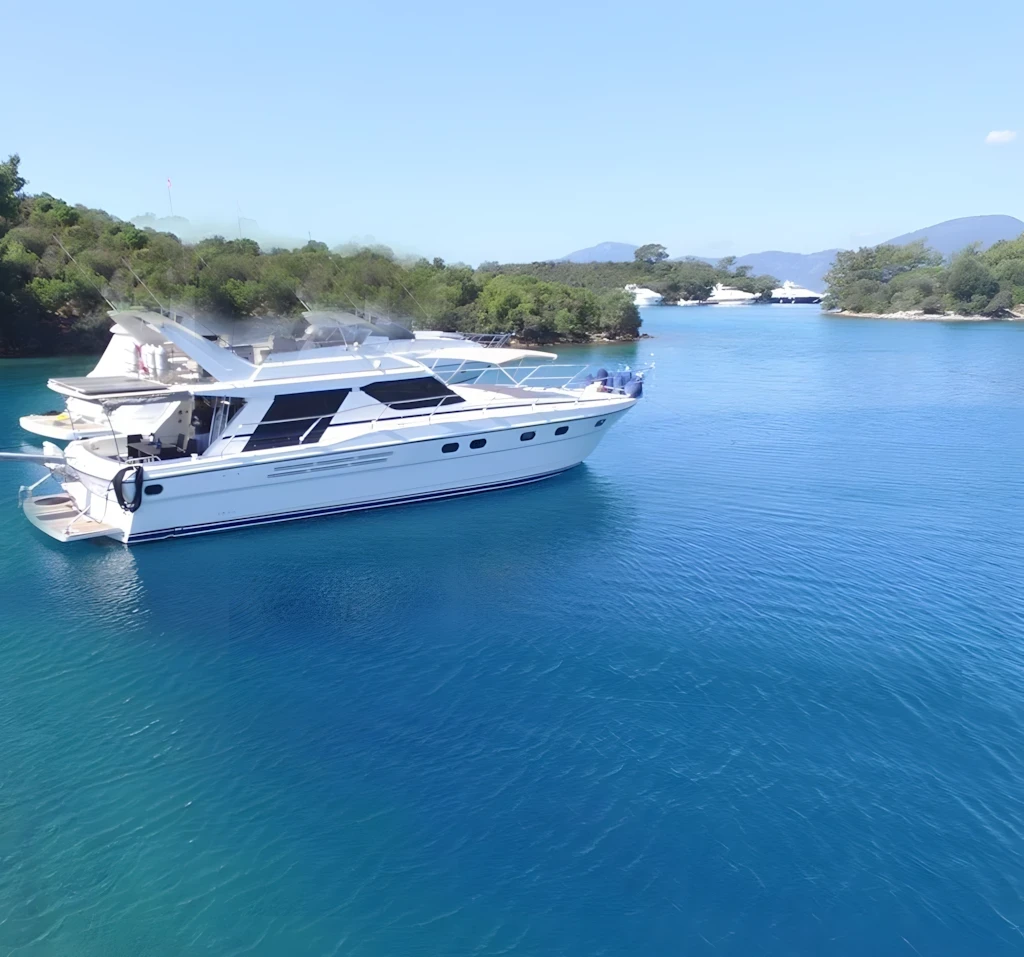 Princess 55