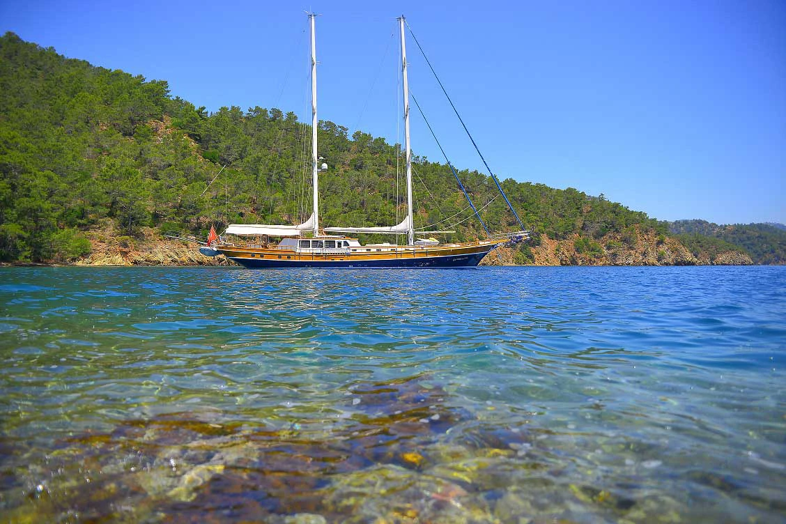 Kaya Guneri-IV