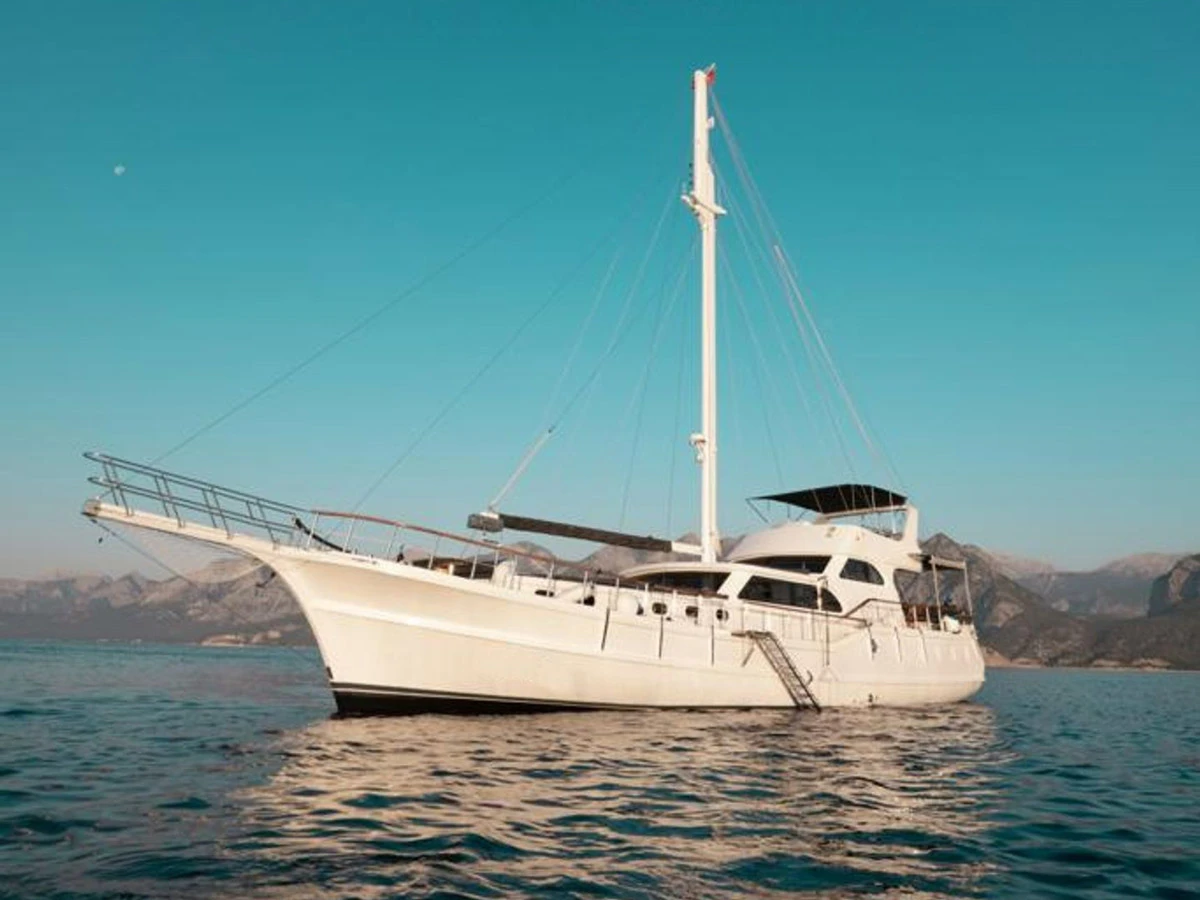 M/S Ozde 1