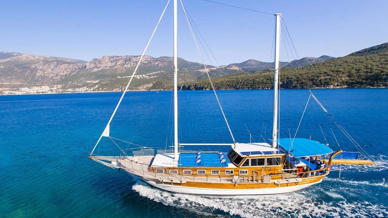 Dilara-1