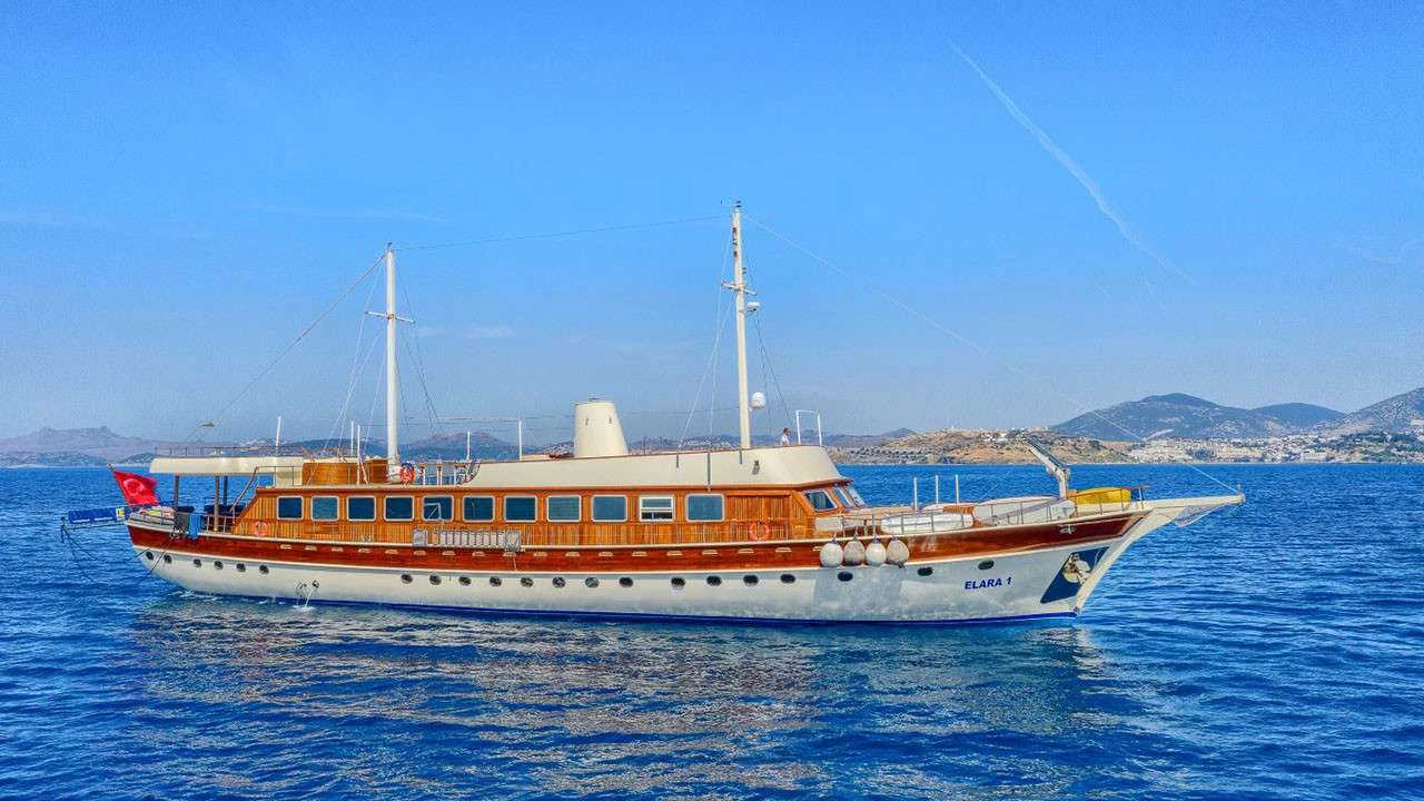 Elara 1