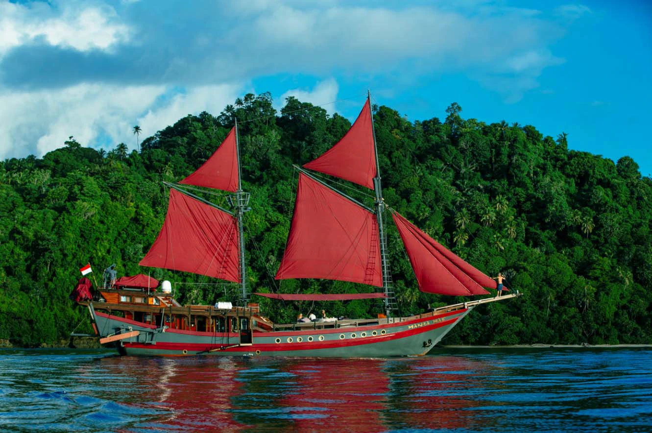 Manta Mae