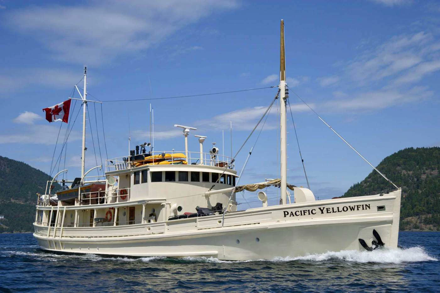 Pacific Yellowfin