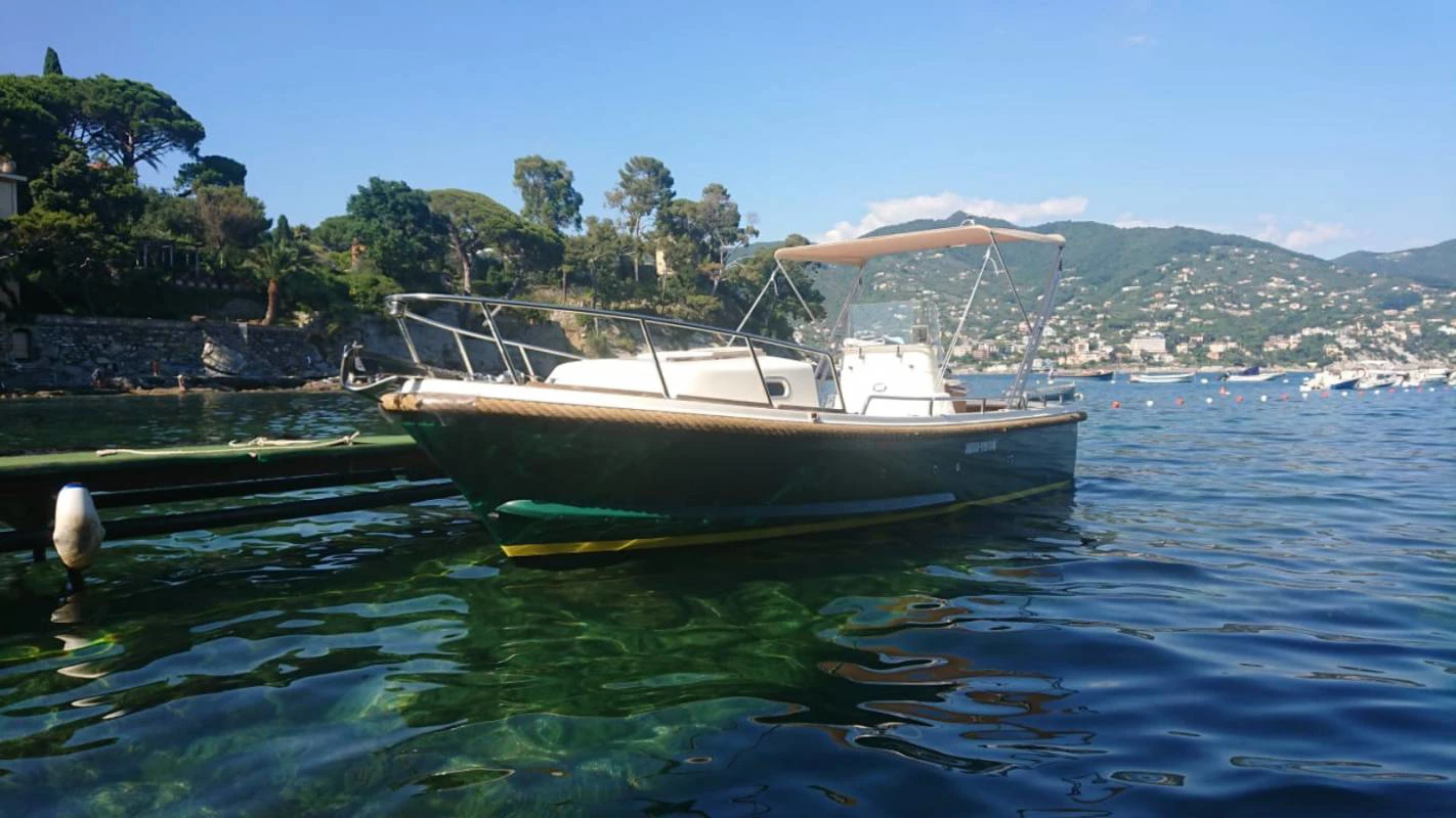 Nelson 24