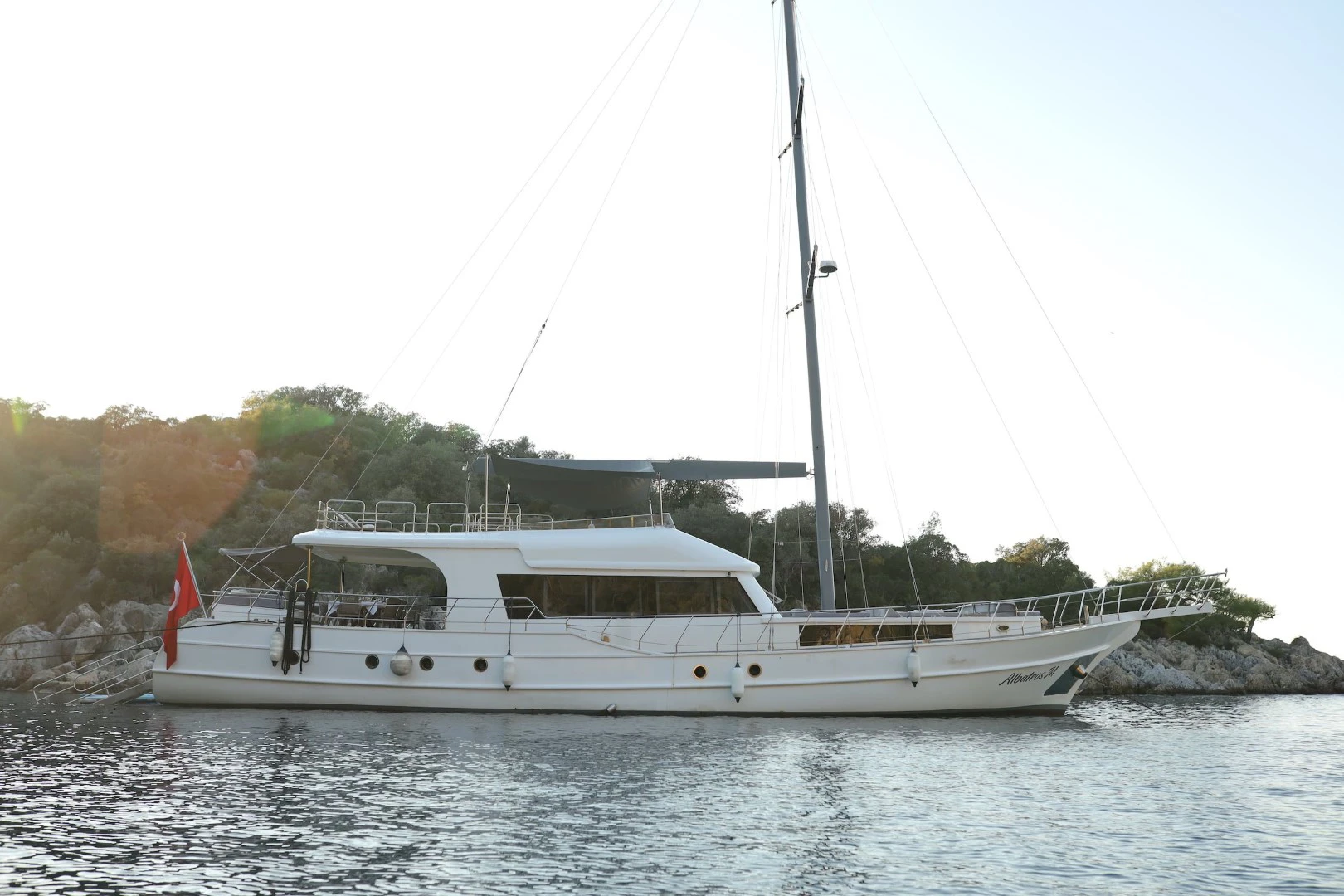Albatros M