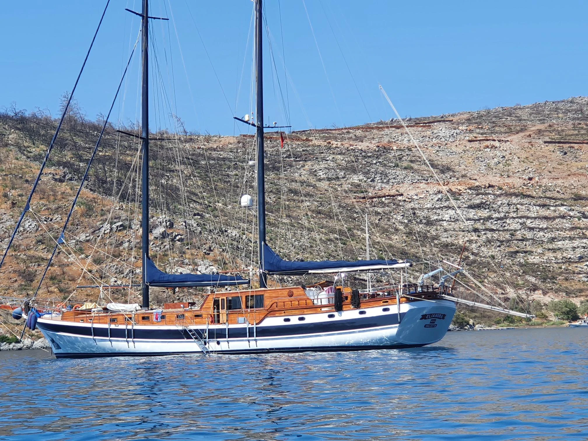Elianora