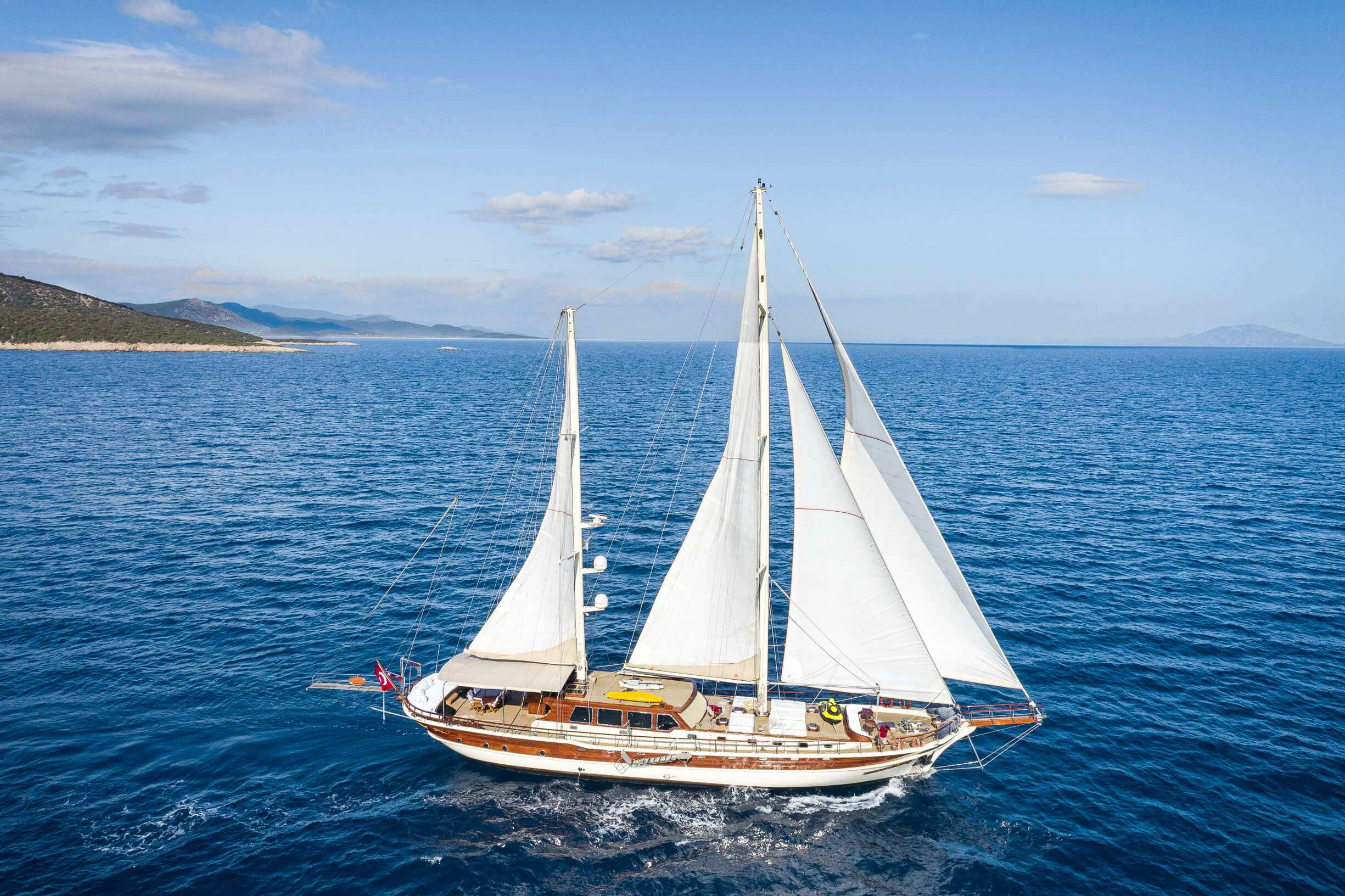 Estrella De Mer