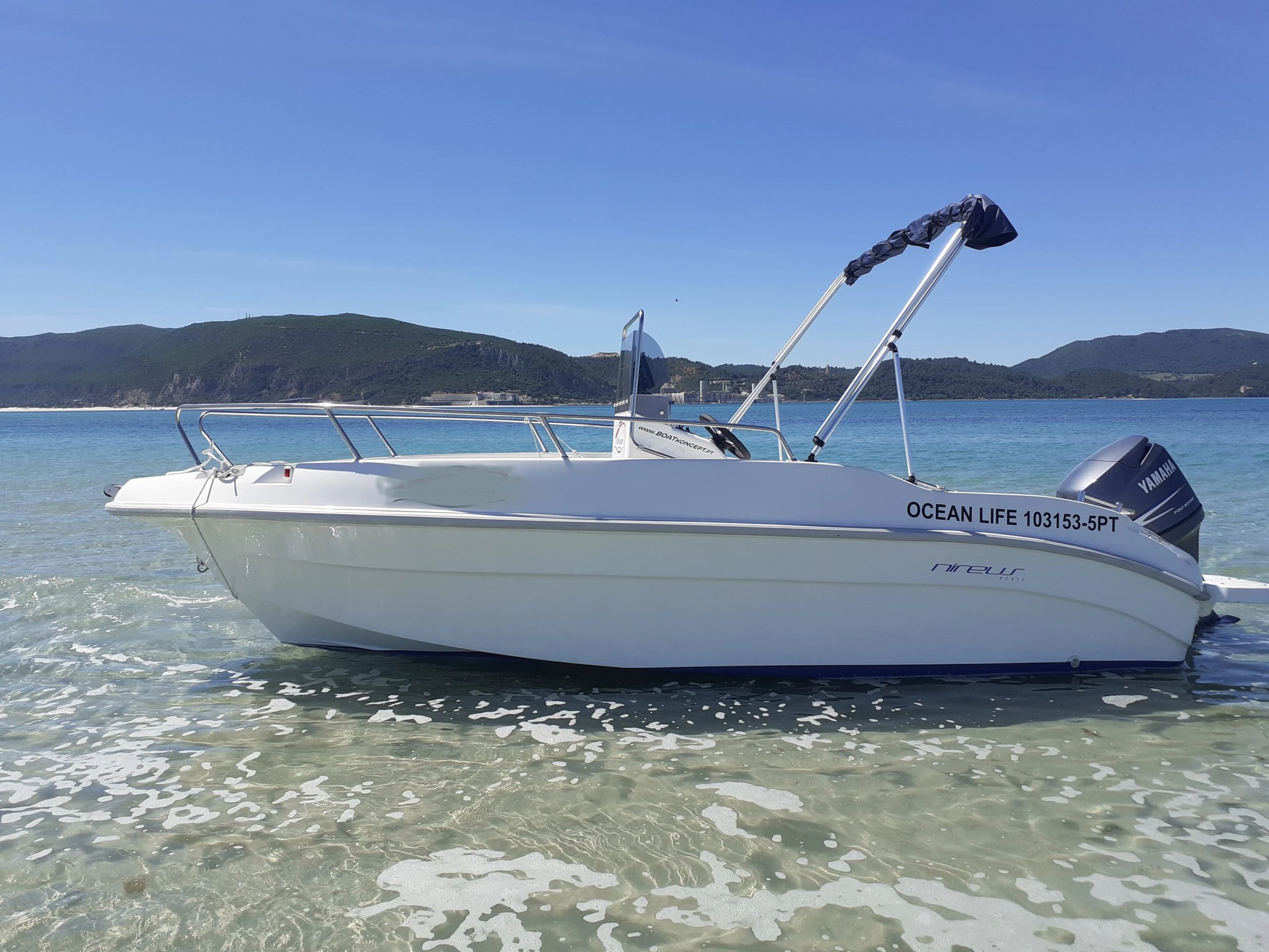 Ocean Life 1031