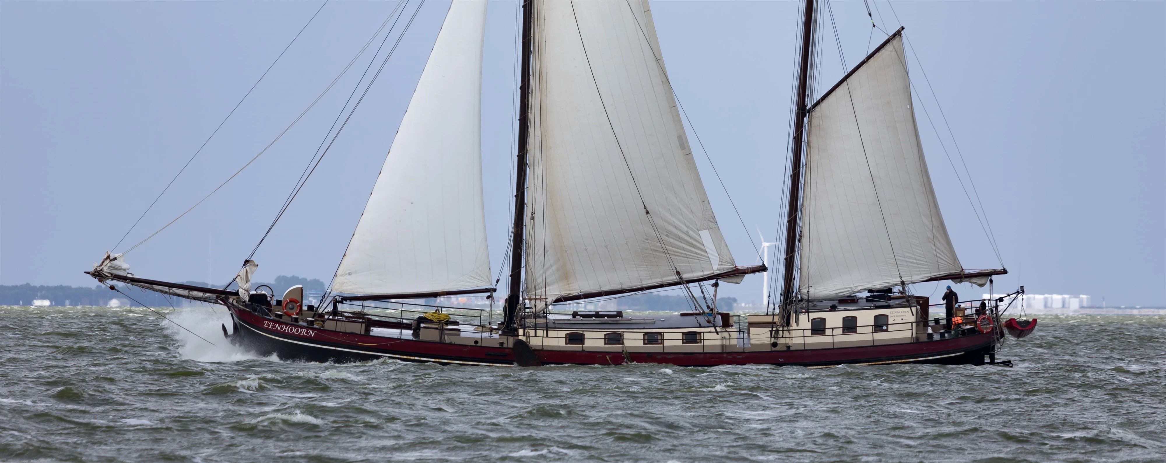 Eenhoorn