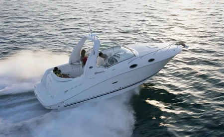 Sea Ray 275