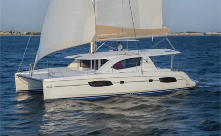 Leopard 44