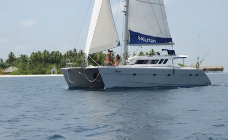 Sailfish