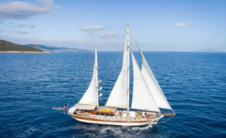 Estrella De Mer