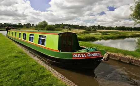 Olivia Ginger