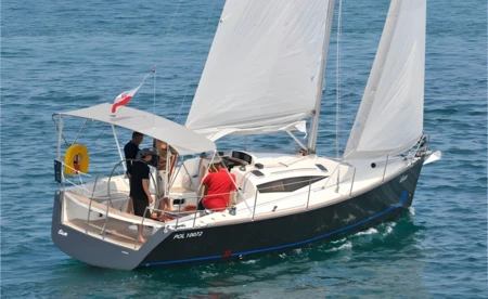 Cobra 33