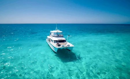 Brava Marine 45