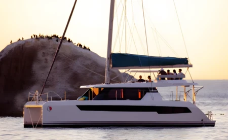 Leopard 42