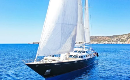 Tamarita