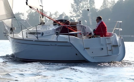 Delphia 29