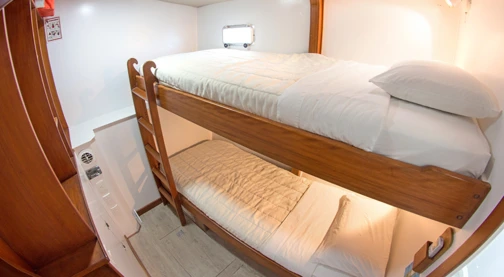Cabine Standard