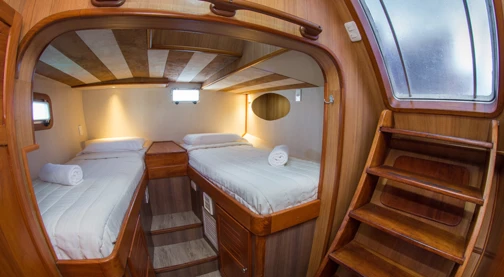 Cabina Standard