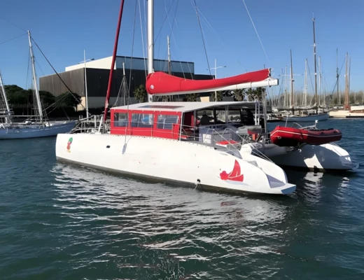 Maxicat 53