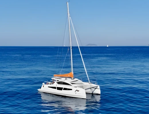 C-Cat 37