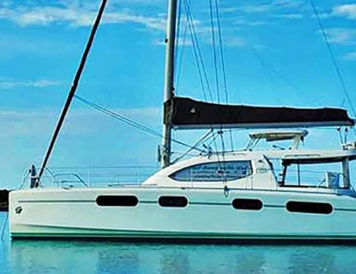 Leopard 46