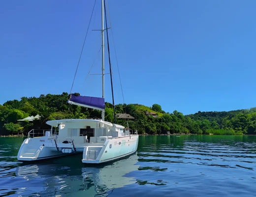 Lagoon 450 F
