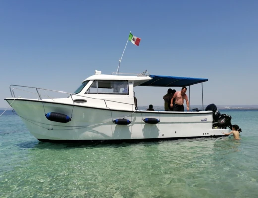 Boston Whaler 285