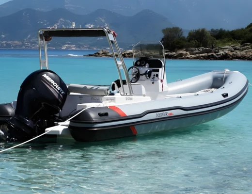 Predator 650 TS