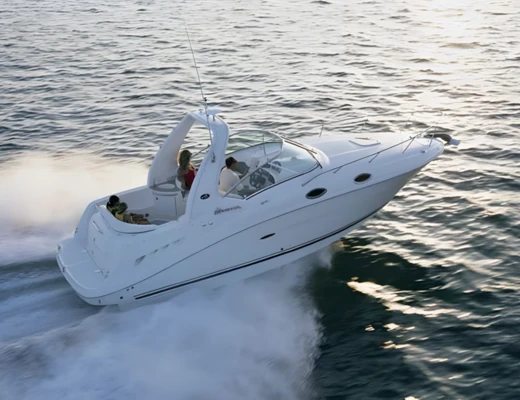 Sea Ray 275