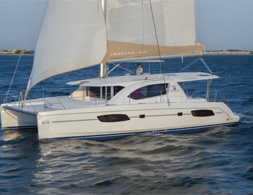 Leopard 44