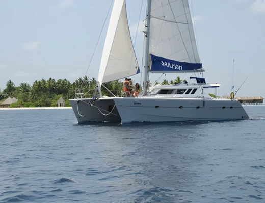 Sailfish