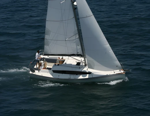 Delphia 31